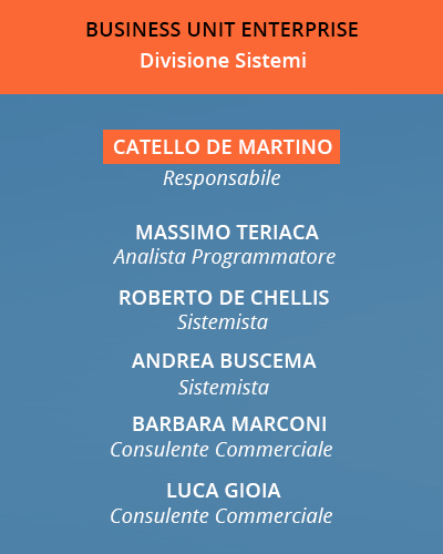 Organigramma Business Unit Enterprise img